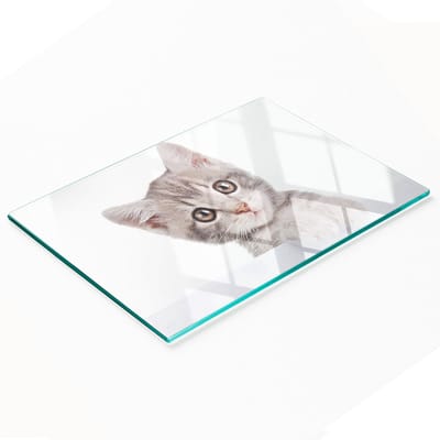 Keukenplank van gehard glas met decoratieve afbeelding van een grijze kat, 80x52 cm
