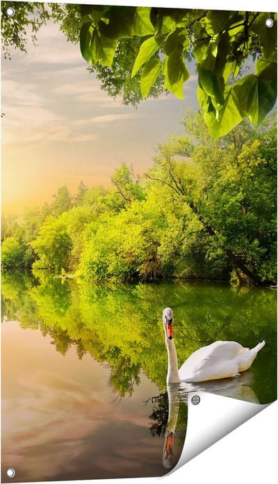 Gards Tuinposter Zwaan op het Water in het Bos - 60x90 cm - Tuindoek - Tuindecoratie - Wanddecoratie buiten - Tuinschilderij