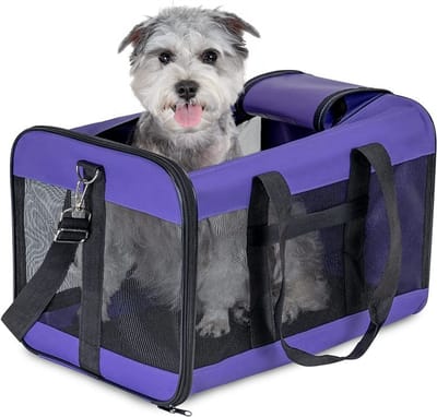 katten reismand - Reismand kat - Opvouwbaar met schouderband - Kattenmand - Extra stevig & veilig model-48x32x32 cm-Paars-L