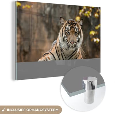 MuchoWow® Glasschilderij 60x40 cm - Schilderij acrylglas - Tijger - Rotsen - Bladeren - Foto op glas - Schilderijen