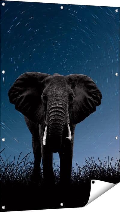 Gards Tuinposter Olifant Omringd met Sterren - 80x120 cm - Tuindoek - Tuindecoratie - Wanddecoratie buiten - Tuinschilderij