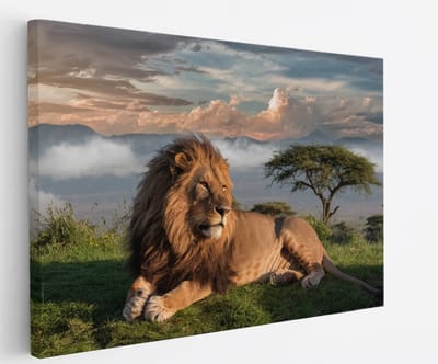 Saammp Canvas Schilderij - Leeuw bovenop een berg - Landschap - Dieren - Natuur - 45x30 - Foto op canvas - Wanddecoratie - Muurdecoratie Woonkamer - Slaapkamer decoratie - Canvas Print