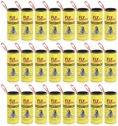 Vliegenvangerrollen 24 stuks - Niet-giftige vliegenvernietiger voor binnen en buiten - Effectief tegen fruitvliegjes, muggen en motten