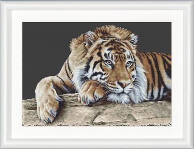 Thea Gouverneur - Borduurpakket met telpatroon - 579.05 - Voorgesorteerde DMC Garens - Tijger - Zwarte Aida - 45 cm x 35 cm - DIY Kit