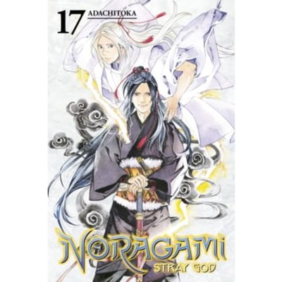 Noragami: Stray God 17 - Noragami: Stray God - Adachitoka