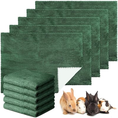 Allecto - Pipi-matten - Waterdicht - Absorberend - Donkergroen - Wasbaar - Geschikt voor kleine dieren - 45 x 61 cm