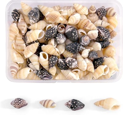 Natuurlijke Schelpen Set - 125 Stuks van 10 Soorten voor DIY Sieraden, Aquariums en Huisdecoratie