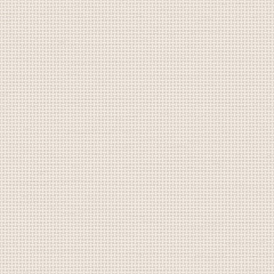 Dutch Wallcoverings - Tapestry Weave plain White - TP422601
