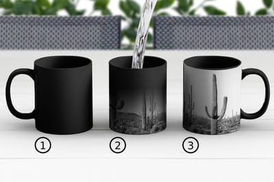 Magische Mok - Foto op Warmte Mokken - Koffiemok - Cactussen - Zwart wit - Natuur - Landschap - Magic Mok - Beker - 350 ML - Theemok