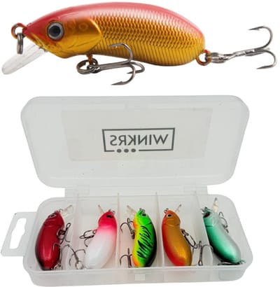 Set Blinkers in Doosje - 5 Visjes met haken 5CM - Snoek, Forel & Baars vissen - Spinners Hengelsport - Kunstaas Roofvissen