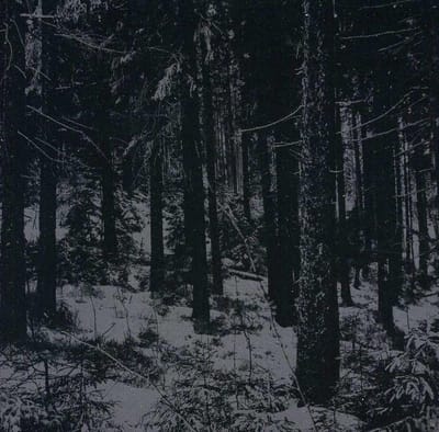 Abstrakter Wald