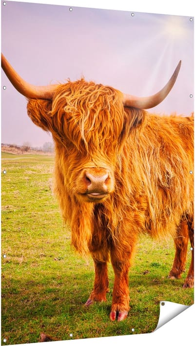 Gards Tuinposter Bruine Schotse Hooglander Koe - Kleur - 120x180 cm - Tuindoek - Tuindecoratie - Wanddecoratie buiten - Tuinschilderij