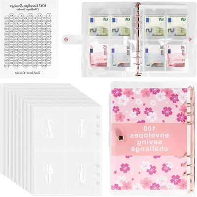 Allecto Plus - Budgetplanner met 100 Enveloppen | Euro A5 Planner | Contant Geld | Starterskit | Budgetplanner Geldorganizer | Spaarboekje voor Financieel Planners | Spaarboekje - Roze