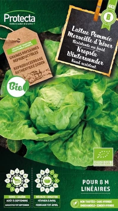 Protecta Groente zaden: Kropsla Winterwonder Biologisch