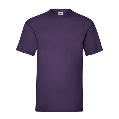 Fruit of the Loom Unisex Adult Waardevol T-Shirt (Paars)