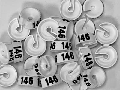 Bleijenberg Maatdopje maat 146 wit - Maataanduiding voor kledinghangers per 25 stuks - Maatringetje Ø 20 mm - Kledinghangers - Kleerhanger - Kapstok - Mark-Brics - wisersizer