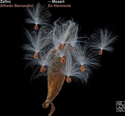 Zefiro, Alfredo Bernardini - Mozart: En Harmonie (CD)