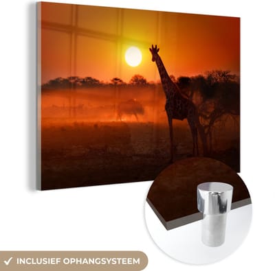 MuchoWow® Glasschilderij 60x40 cm - Schilderij acrylglas - Giraffe - Zon - Savanne - Foto op glas - Schilderijen