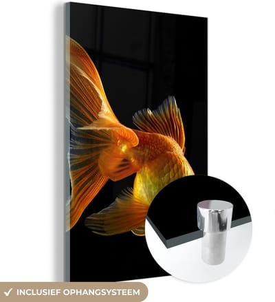MuchoWow® Glasschilderij 120x180 cm - Schilderij acrylglas - Goudvis - Dieren - Zwart - Foto op glas - Schilderijen