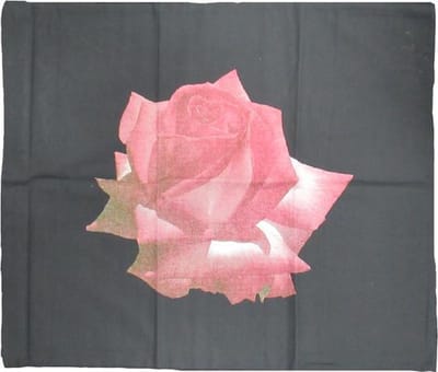 Brighton Rosalie Dekbedovertrek - Eenpersoons - 140x200/220 cm - Zwart