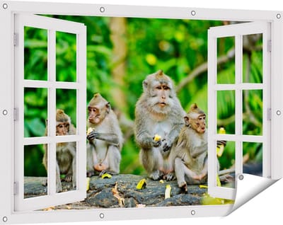 Gards Tuinposter Doorkijk Groep Apen Eten Bananen in het Bos - 120x80 cm - Tuindoek - Tuindecoratie - Wanddecoratie buiten - Tuinschilderij