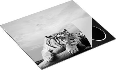 Chefcare Inductie Beschermer Tijger tijdens Zonsondergang - Zwart Wit - 60x50 cm - Afdekplaat Inductie - Kookplaat Beschermer - Inductie Mat
