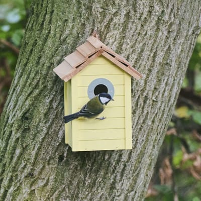 CJ Wildlife Nestkast voor Pimpelmees & Koolmees - Beach - Nestkastje - Houten Vogelhuisje - Geel