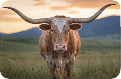 Badmat 60x40 cm - Antislip - Longhorn - Landschap - Zonsondergang - Badmatten voor badkamer - Badkamermat - Douchemat - Badkamer mat
