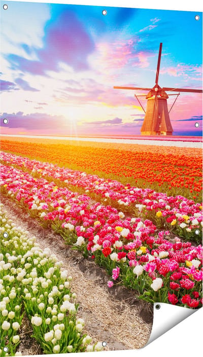 Gards Tuinposter Kleurrijke Bloemenveld met een Windmolen - 80x120 cm - Tuindoek - Tuindecoratie - Wanddecoratie buiten - Tuinschilderij
