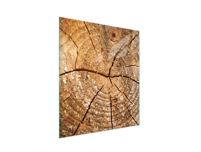 TMK ArtDeko - Snijplank - Glas - 45x52 cm - Beschermpaneel - Hittebestendig