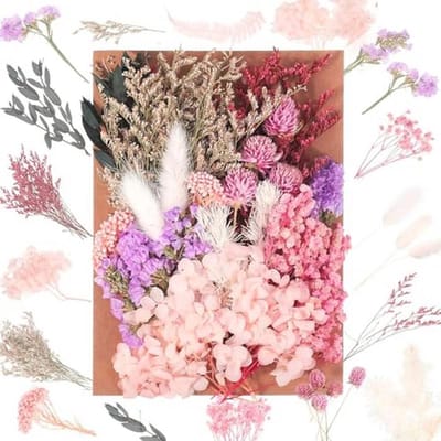 JIEYUCHU Decoratieve gedroogde bloemen, natuurlijke gedroogde bloemen, gemaakt van echte bloemen, vervaagt niet gemakkelijk, gedroogde bloemen voor doe-het-zelf kaarsen, hars, scrapbooking