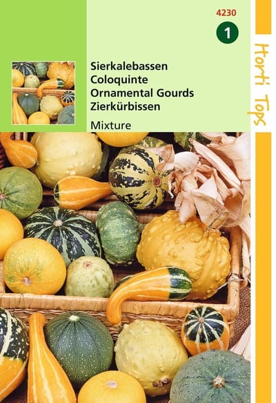 2 stuks Cucurbita Pepo, Sierkalebas Kleinvr. Gem.