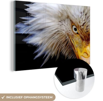 MuchoWow® Glasschilderij 150x100 cm - Schilderij acrylglas - Vogel - Oog - Snavel - Foto op glas - Schilderijen