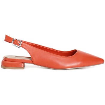 Pumps Café Noir C1XV1046
