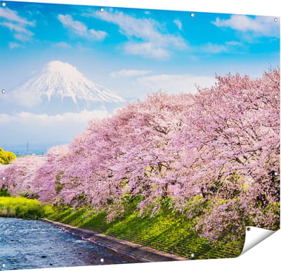 Gards Tuinposter Roze Bloesembomen bij de Fuji Berg - 150x120 cm - Tuindoek - Tuindecoratie - Wanddecoratie buiten - Tuinschilderij