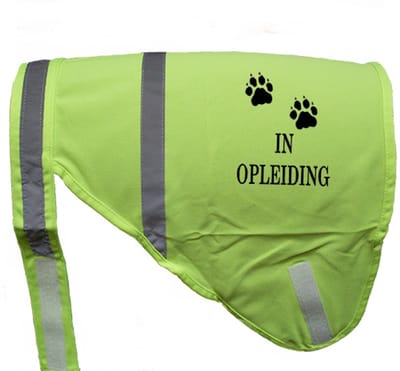 Hondenhesje "IN OPLEIDING", Maat L, Kleur Geel