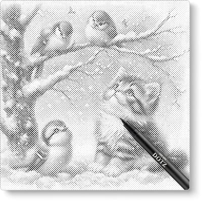 Kitten en vogels in de sneeuw | Dot painting | 40x40cm | Dot painting | Oh My Dotz | Dots stippen | Diamond painting & Schilderen op nummer alternatief | Happy hobby