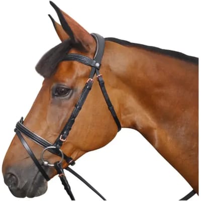 Hoofdstellen Canter Rose gold
