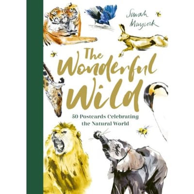 The Wonderful Wild - sarah maycock