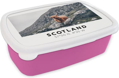 Broodtrommel Roze - Lunchbox - Brooddoos - Schotland - Schotse Hooglander - Bergen - Dieren - 18x12x6 cm - Kinderen - Meisje