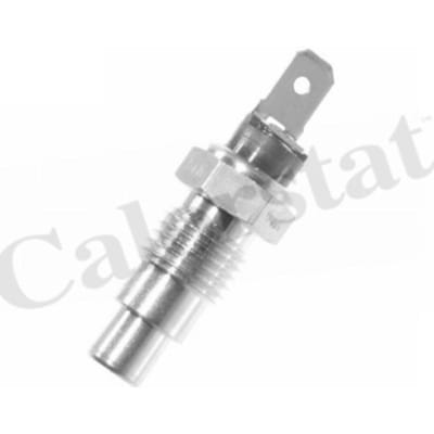 Temperatuursensor CALORSTAT BY VERNET WS2544