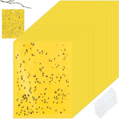 Effectieve Vliegenval voor Binnen en Buiten - 50 x 15 cm Gele Vliegenbestrijding voor Planten en Bloempotten, Geurloos en Veilig