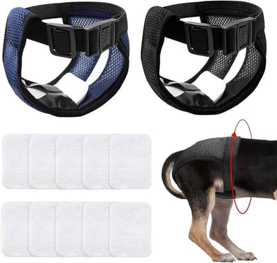 Herbruikbare hondenluiers voor reuen - Wasbare en verstelbare hondenbroekjes met 10 sanitaire pads, geschikt voor taillemaat 50-60 cm, ideaal voor onderweg en bescherming