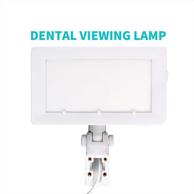 Lampe d'examen dentaire LED Jnsur avec rétroéclairage rayons X Lumière basse tension Film pour fauteuil dentaire Accessoires de dentiste