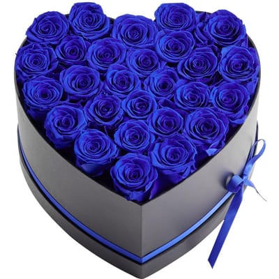 Fleurs Éternelles, 27 Roses Préservées dans une Boîte en Forme de Cœur, Bouquet Immortel de Fleurs Éternelles Cadeau d'Anniversaire pour Femmes Son Épouse Mères, Anniversaire,