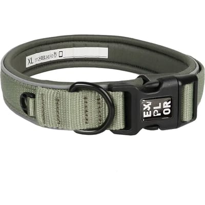 Duvoplus - Halsband Voor Dieren - Hond - Ultimate Fit Control Halsband Fashion Xl - 52-61cm Plum Purple - 1st