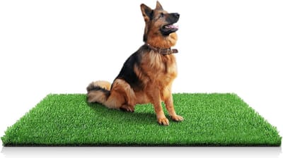 Kunstgrasmat voor Honden - Hondenmat Gras - Zindelijkheidstraining - Met Drainagegaten - 100 x 150 cm - Groen