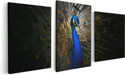 Artaza Canvas Schilderij Drieluik Blauwe Pauw Met Grote Veren - 120x60 - Foto Op Canvas - Canvas Print