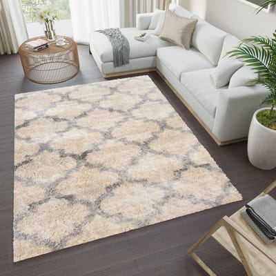 Tapiso Versay Vloerkleed Hoogpolig Shaggy Woonkamer Tapijten Maat- 120x170
