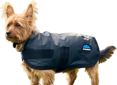 Hondenjas Waterdicht - Honden kleding - Hond Warm Houden - Lichtgewicht Isolatie - 50 cm - Antraciet